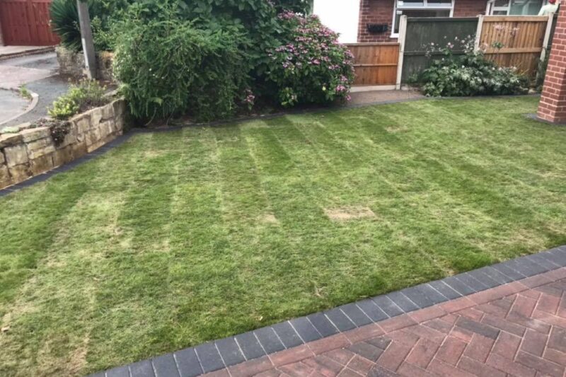 Lawn Turfing